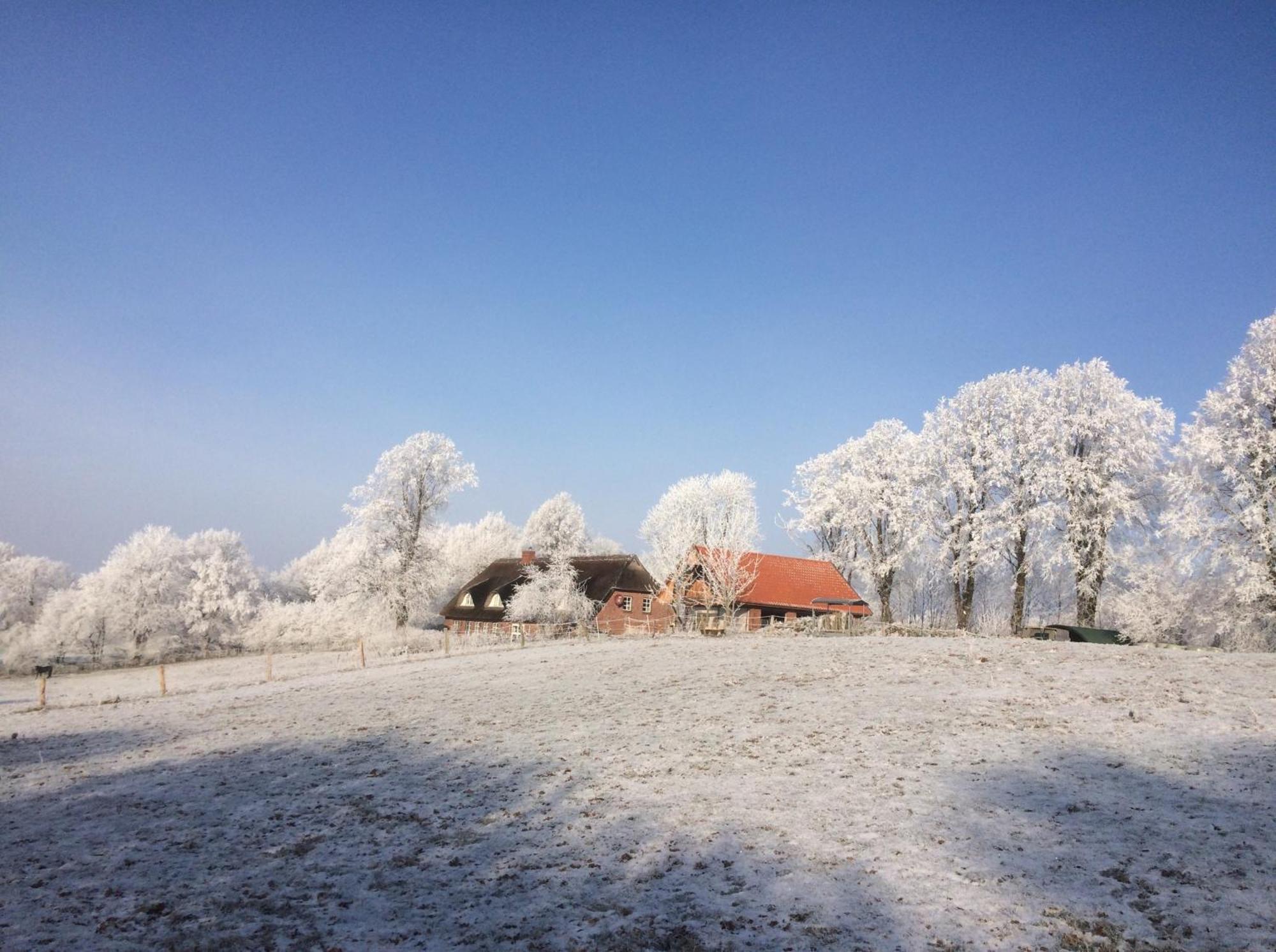 Hoheluft Am Wittensee Apt 3 Groß Wittensee Kültér fotó