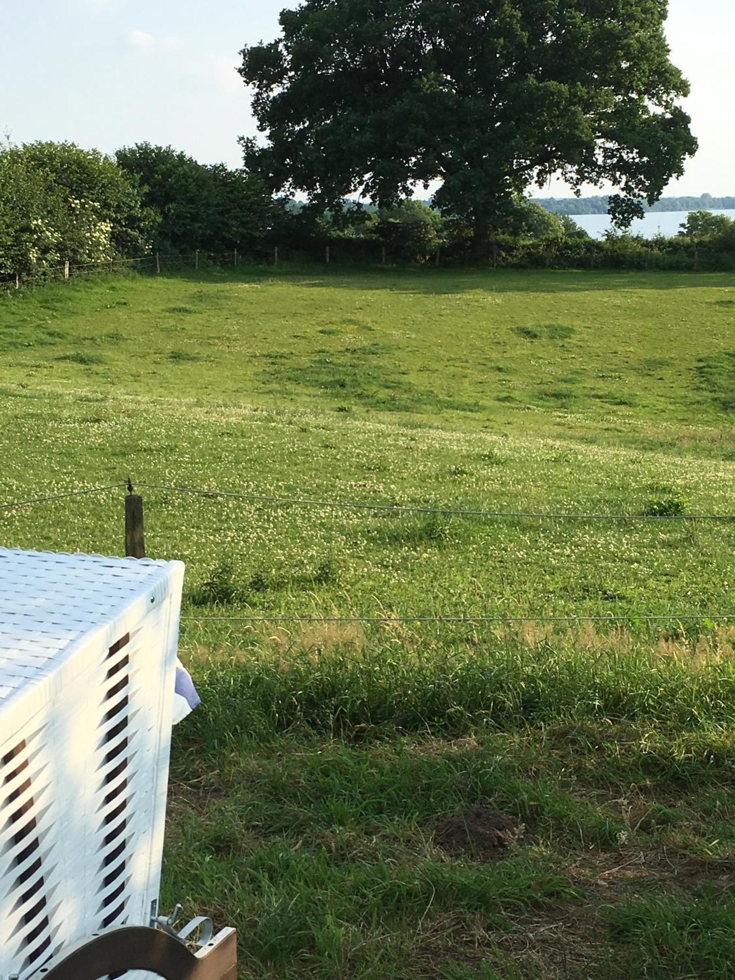 Hoheluft Am Wittensee Apt 3 Groß Wittensee Kültér fotó