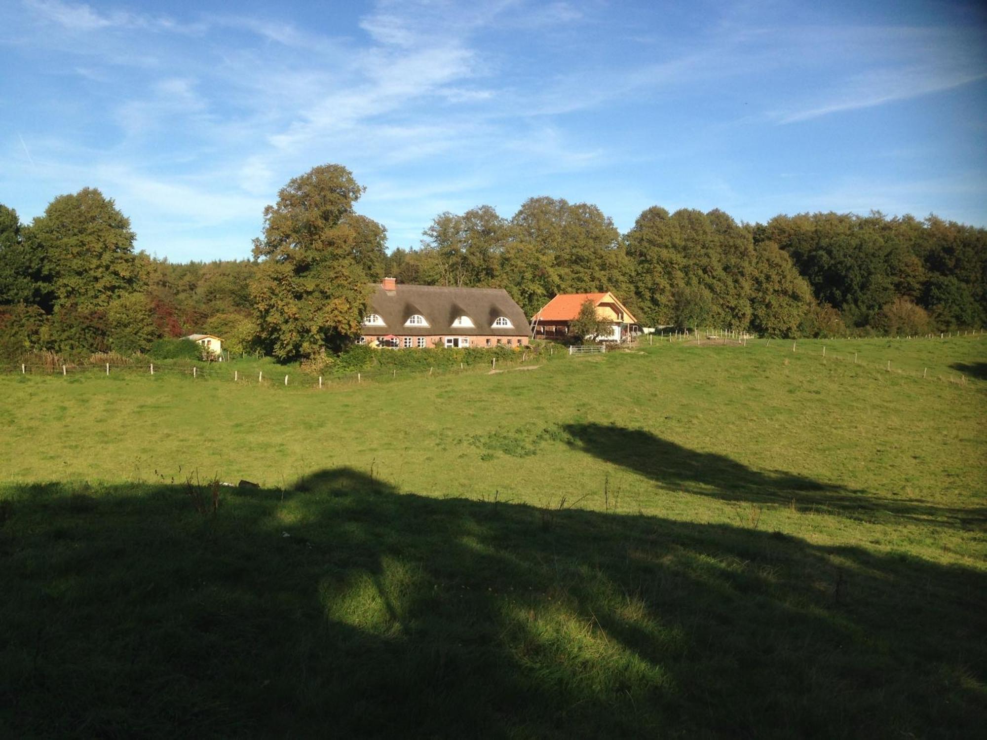 Hoheluft Am Wittensee Apt 3 Groß Wittensee Kültér fotó